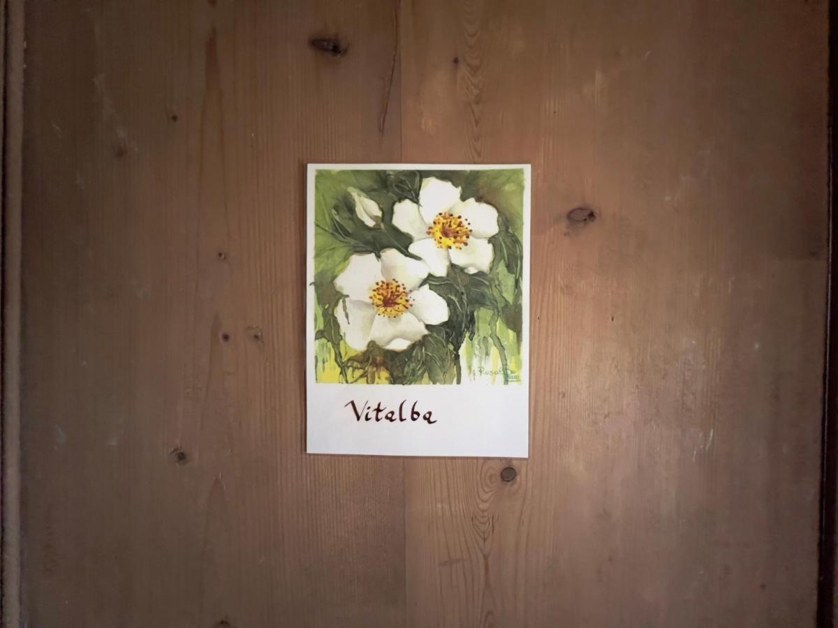 B&B Il Posto Delle Rose Almenno San Salvatore Εξωτερικό φωτογραφία
